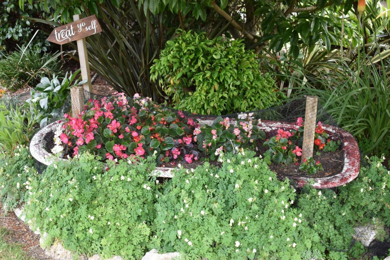 Bed and Breakfast Olivista Masterton Zewnętrze zdjęcie